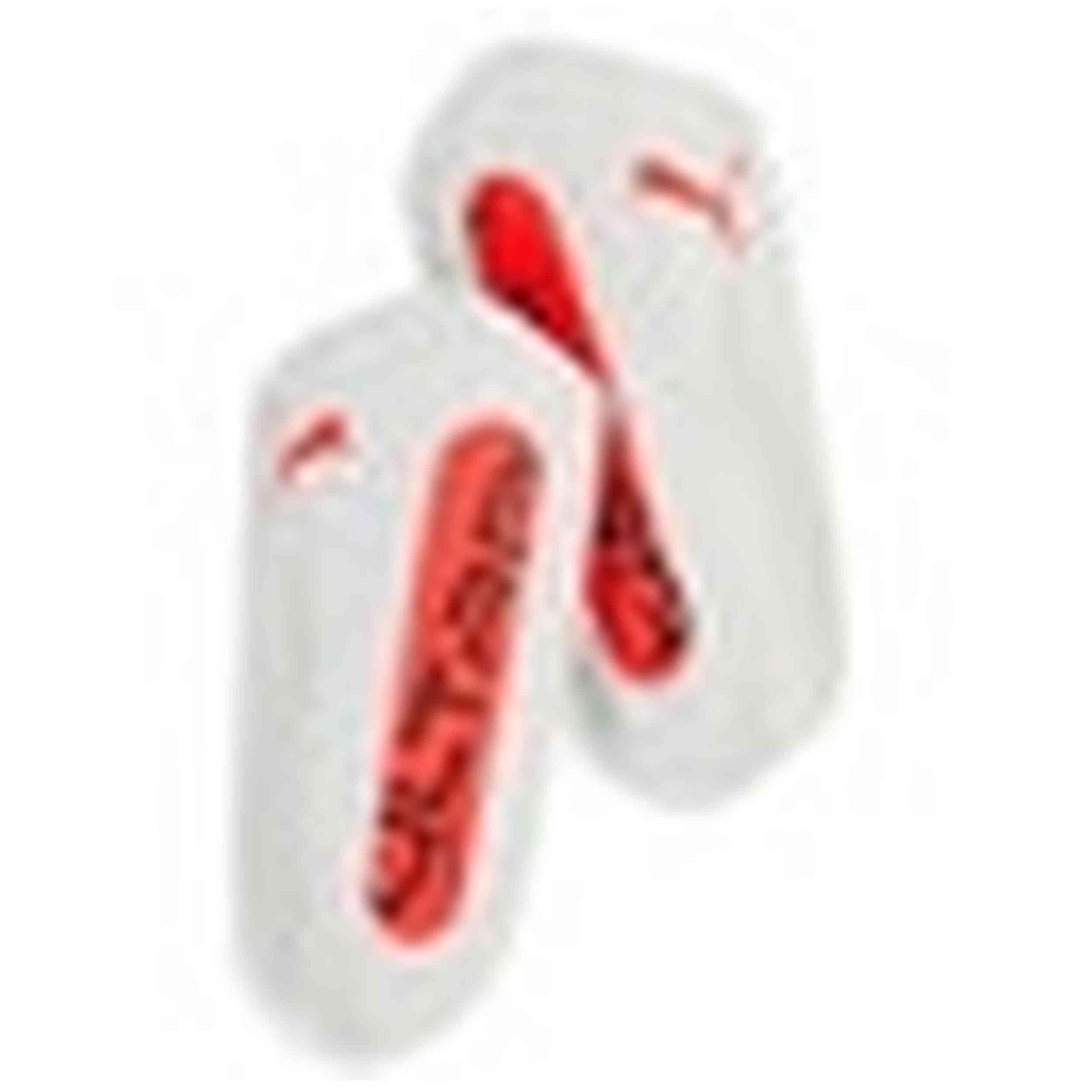 Ochraniacze goleni Puma Ultra King Strap 4/4