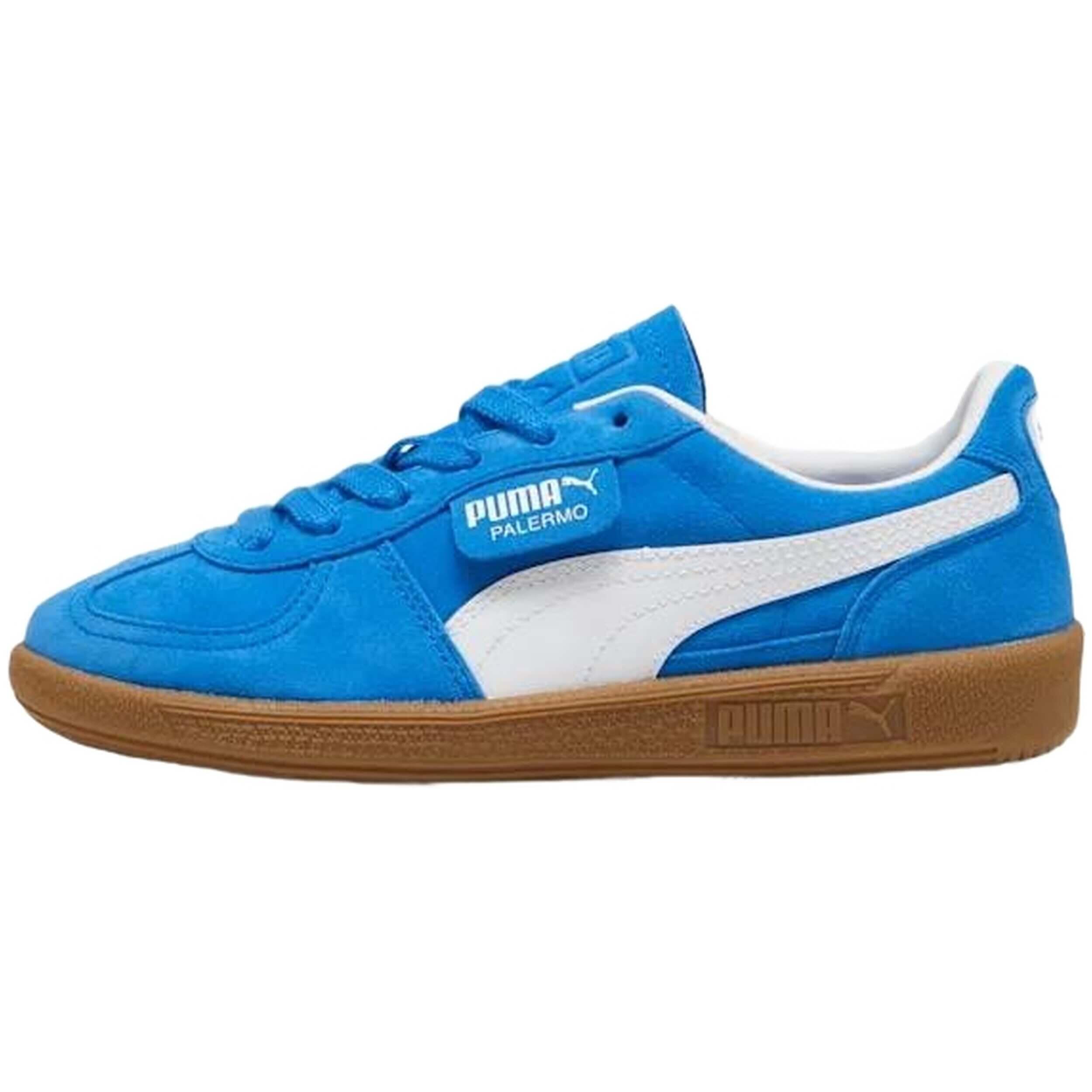 PUMA picture