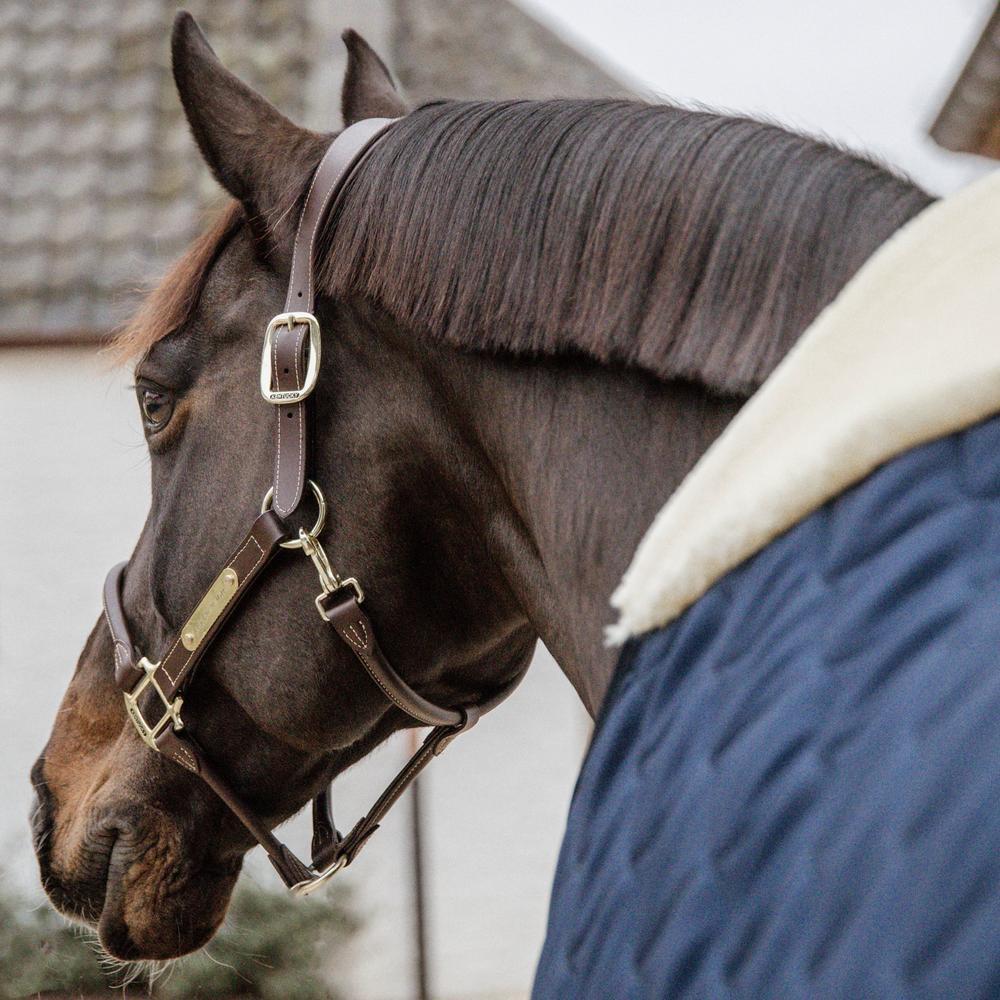 Couverture Cheval Horseware Irlande 300g, Marine, 7 Pieds, Neuve Pour L'hiver !