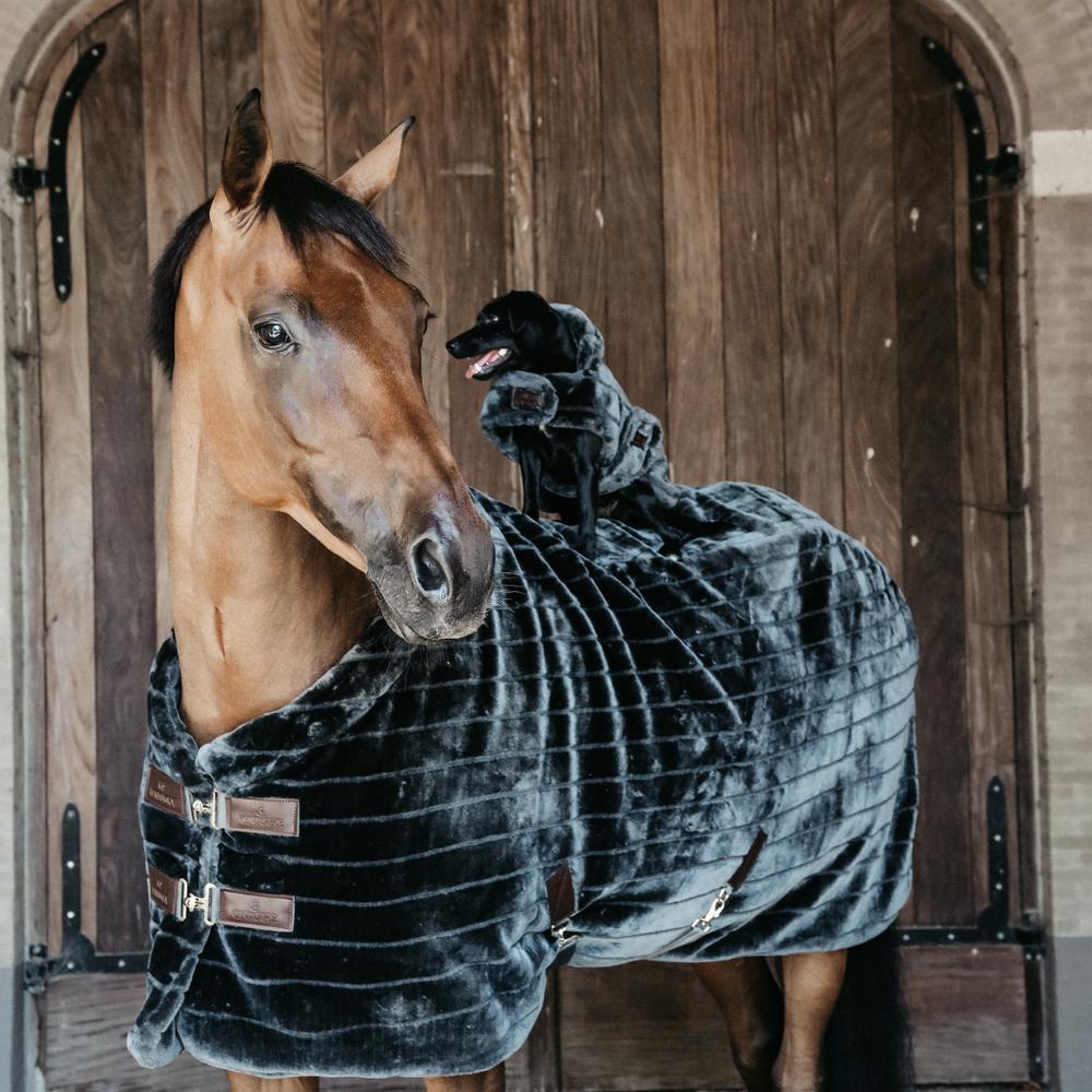 Cobertura de box fausse fourrure pour cheval Kentucky 400 g 5/5