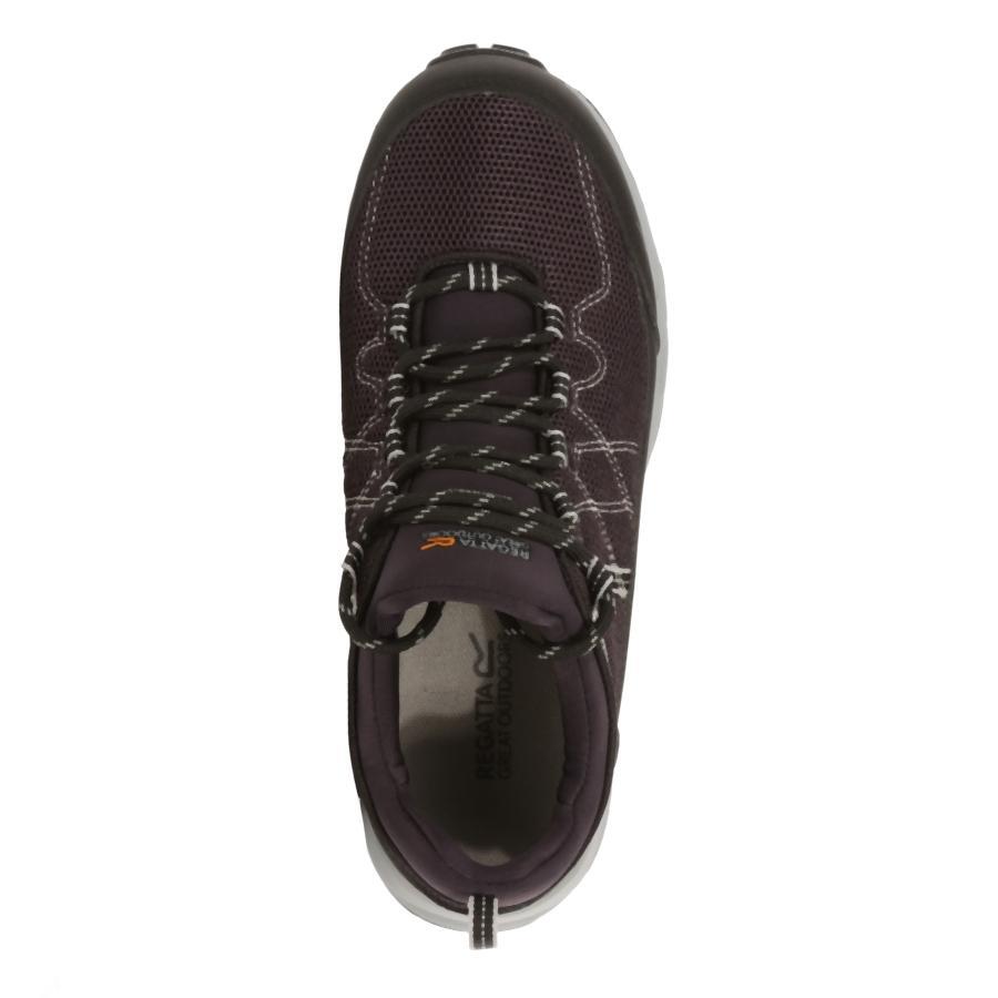 Chaussures de trekking Regatta Samaris Lite Low pour femmes 3/6