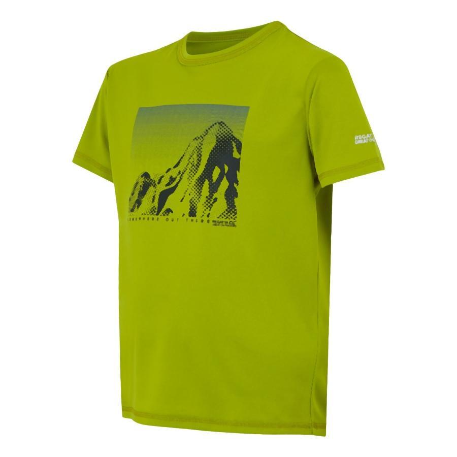 Camiseta infantil Regatta Alvarado IX 3/3