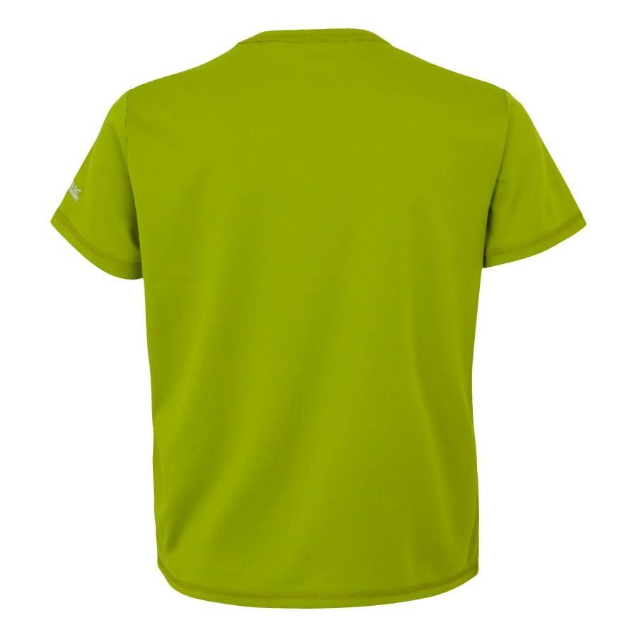 Camiseta infantil Regatta Alvarado IX 2/3