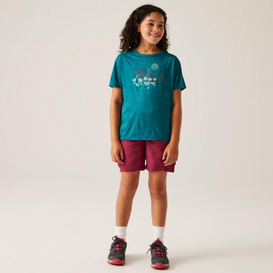 T-shirt enfant Regatta Alvarado IX 2/7