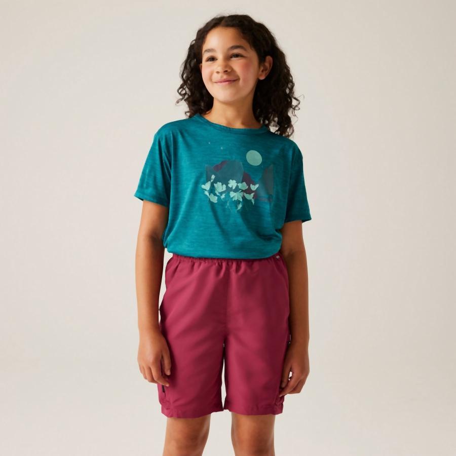 T-shirt enfant Regatta Alvarado IX 4/7