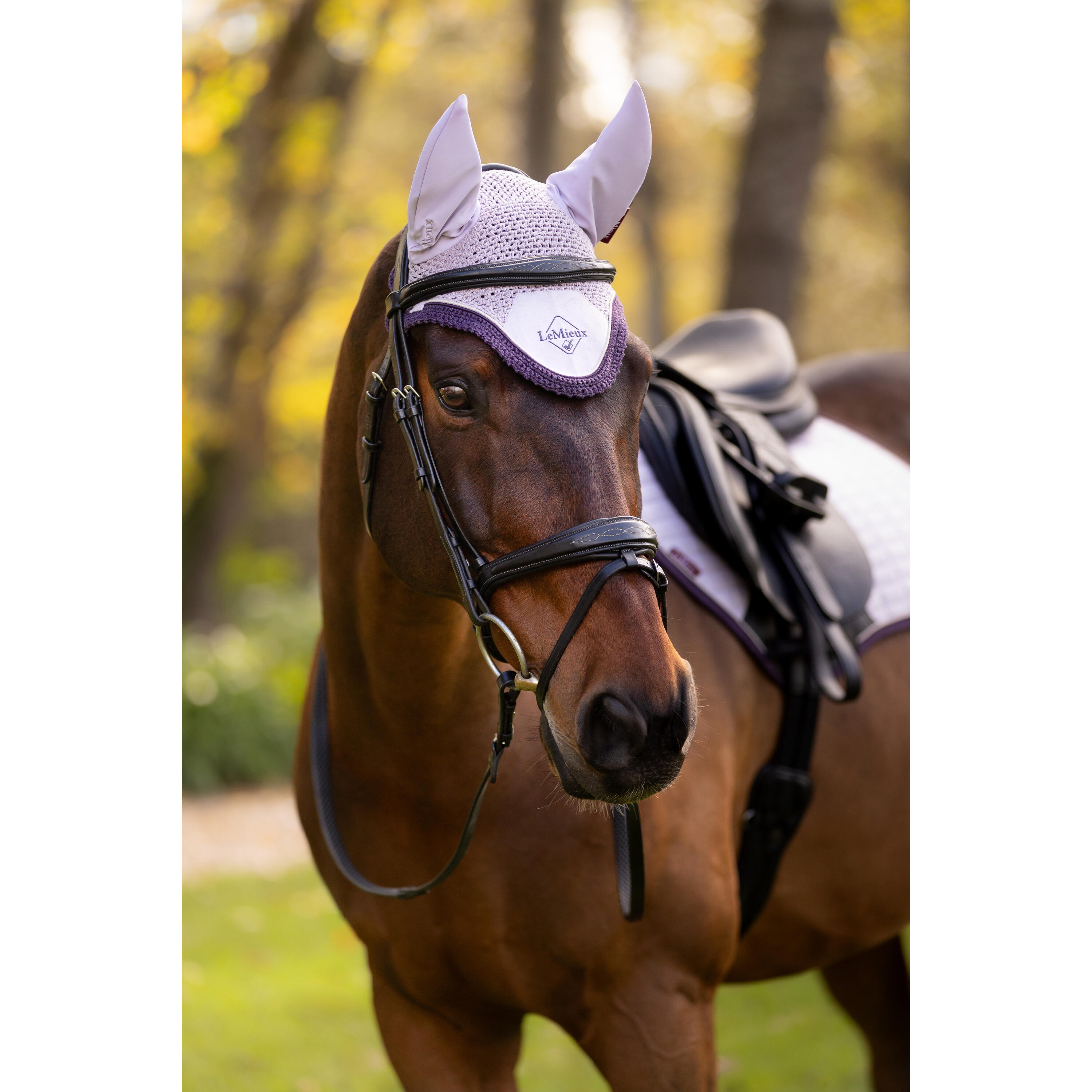 Korte hoed voor paarden LeMieux Classic 3/7