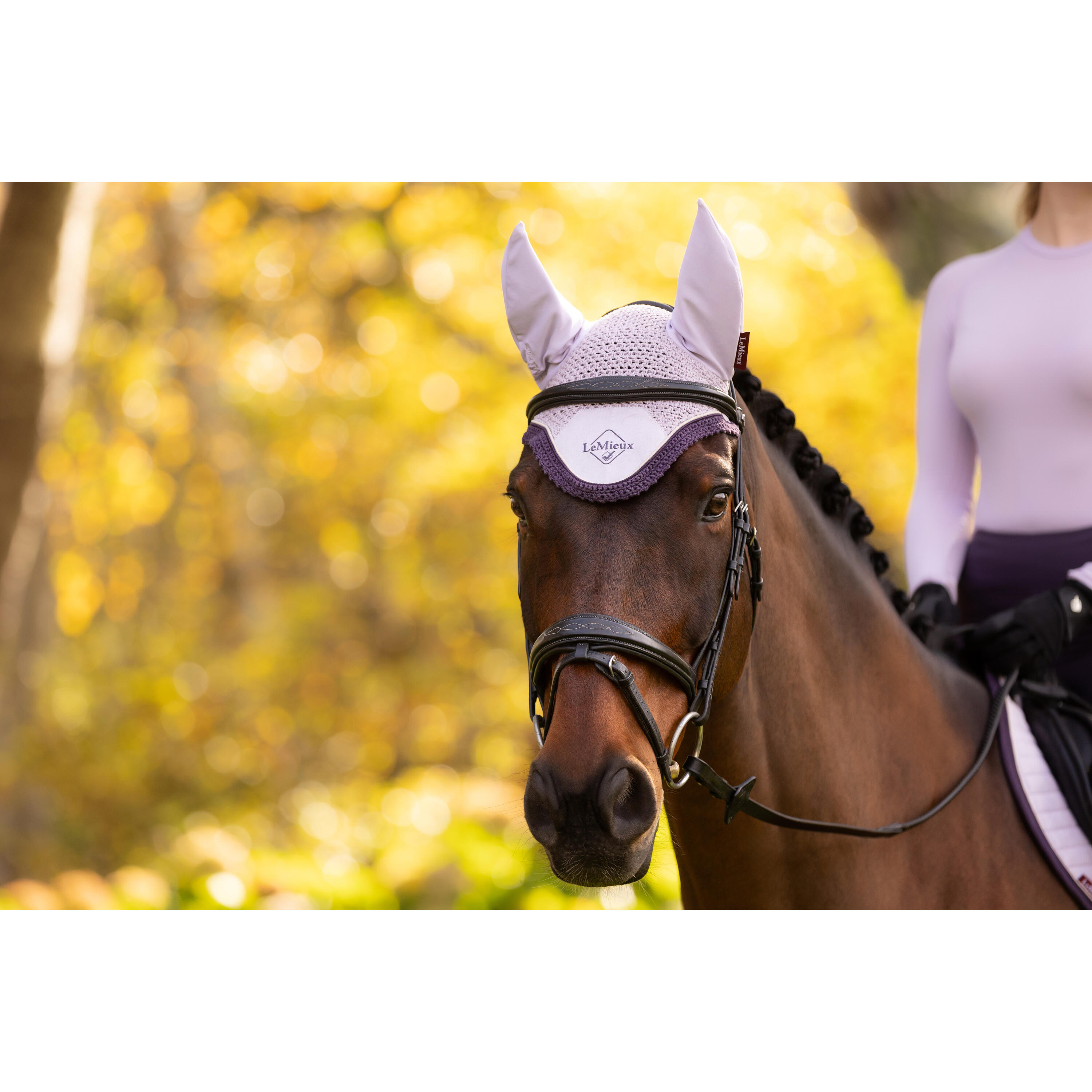 Korte hoed voor paarden LeMieux Classic 2/7