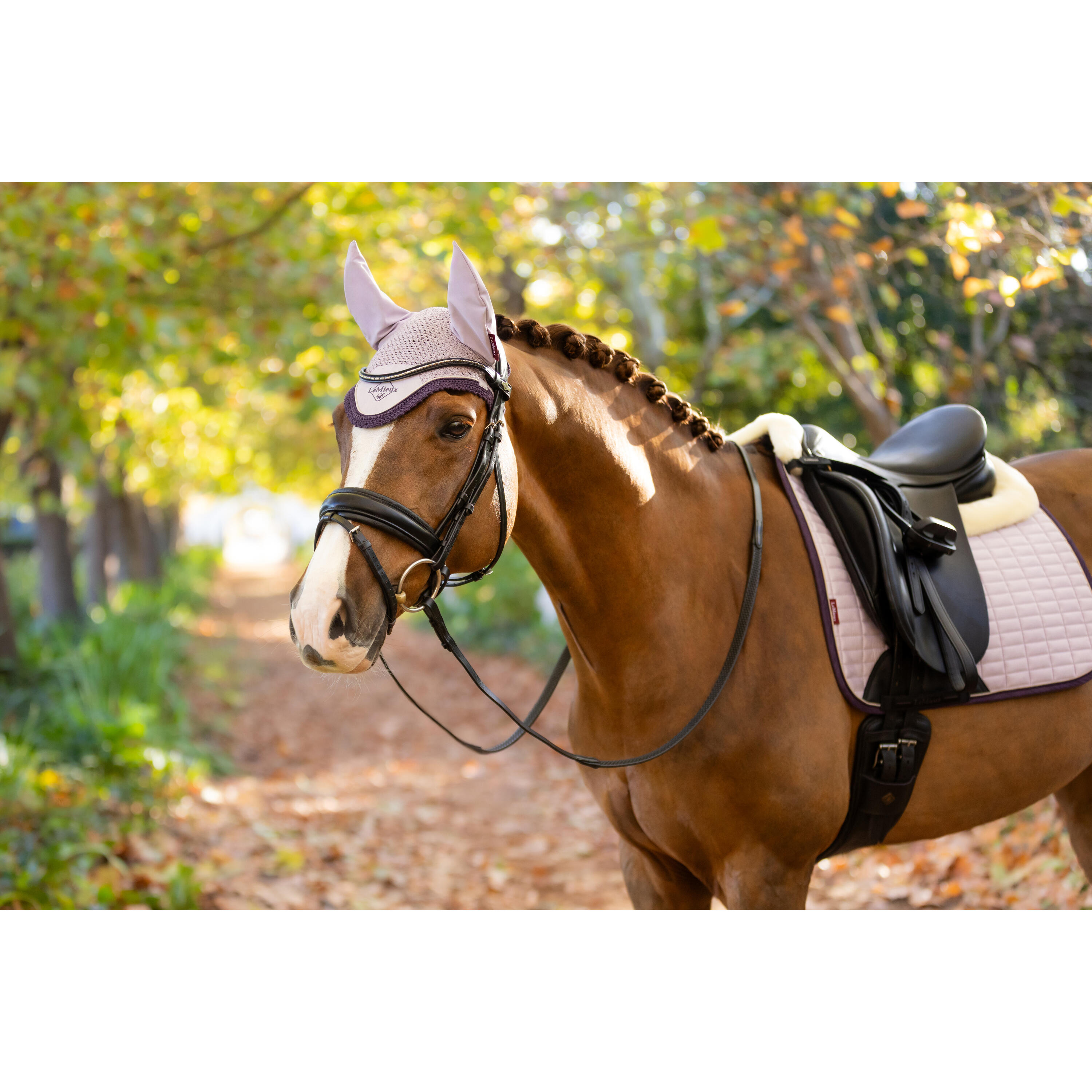 Korte hoed voor paarden LeMieux Classic 7/7