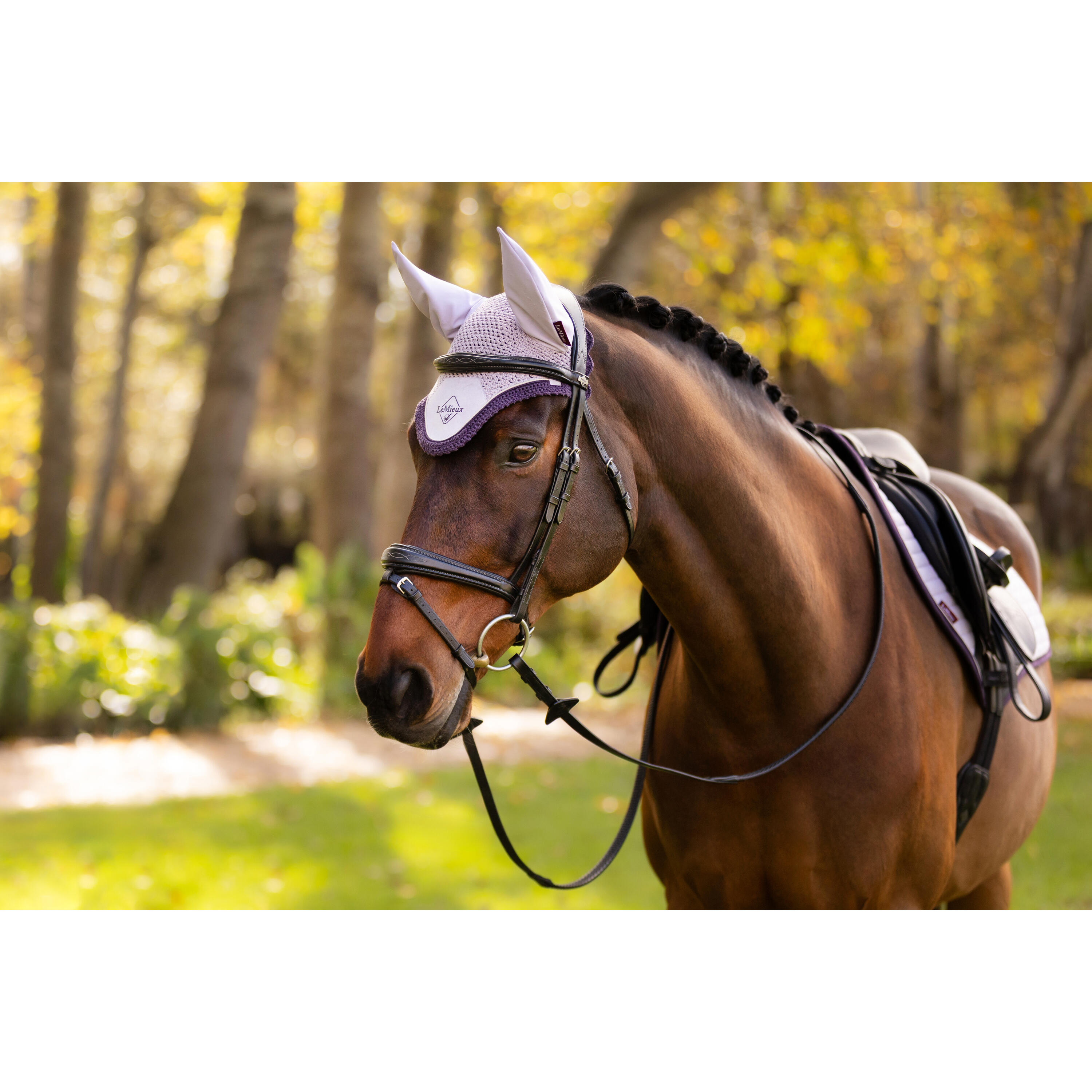 Korte hoed voor paarden LeMieux Classic 6/7