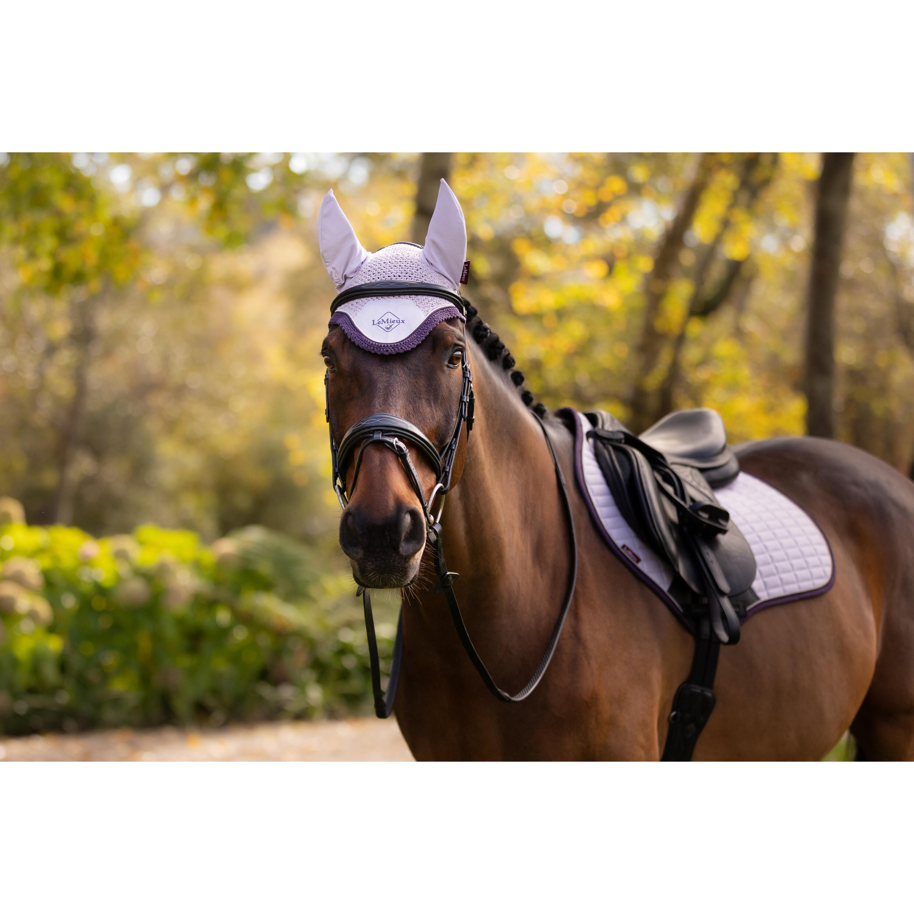Korte hoed voor paarden LeMieux Classic 5/7