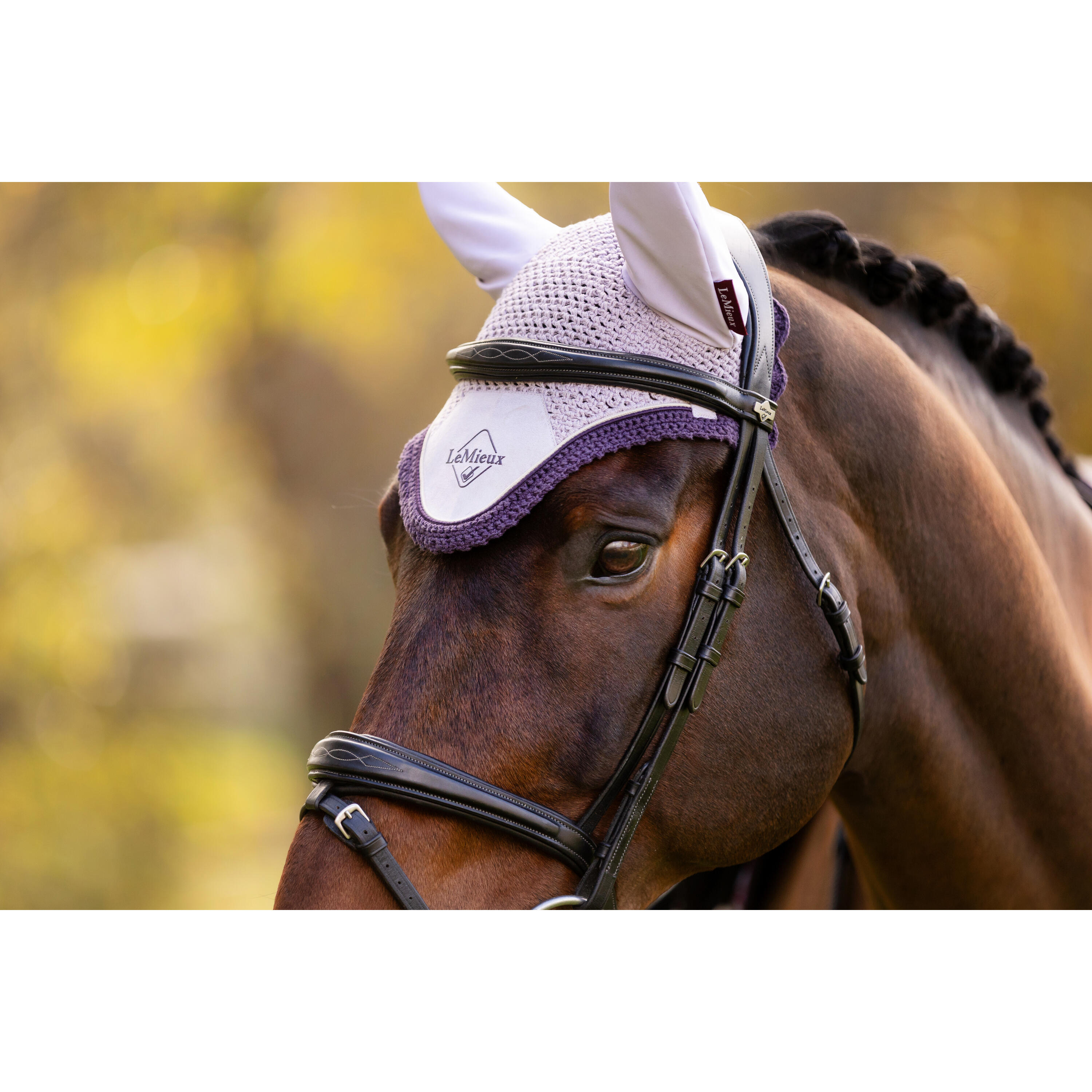 Korte hoed voor paarden LeMieux Classic 4/7