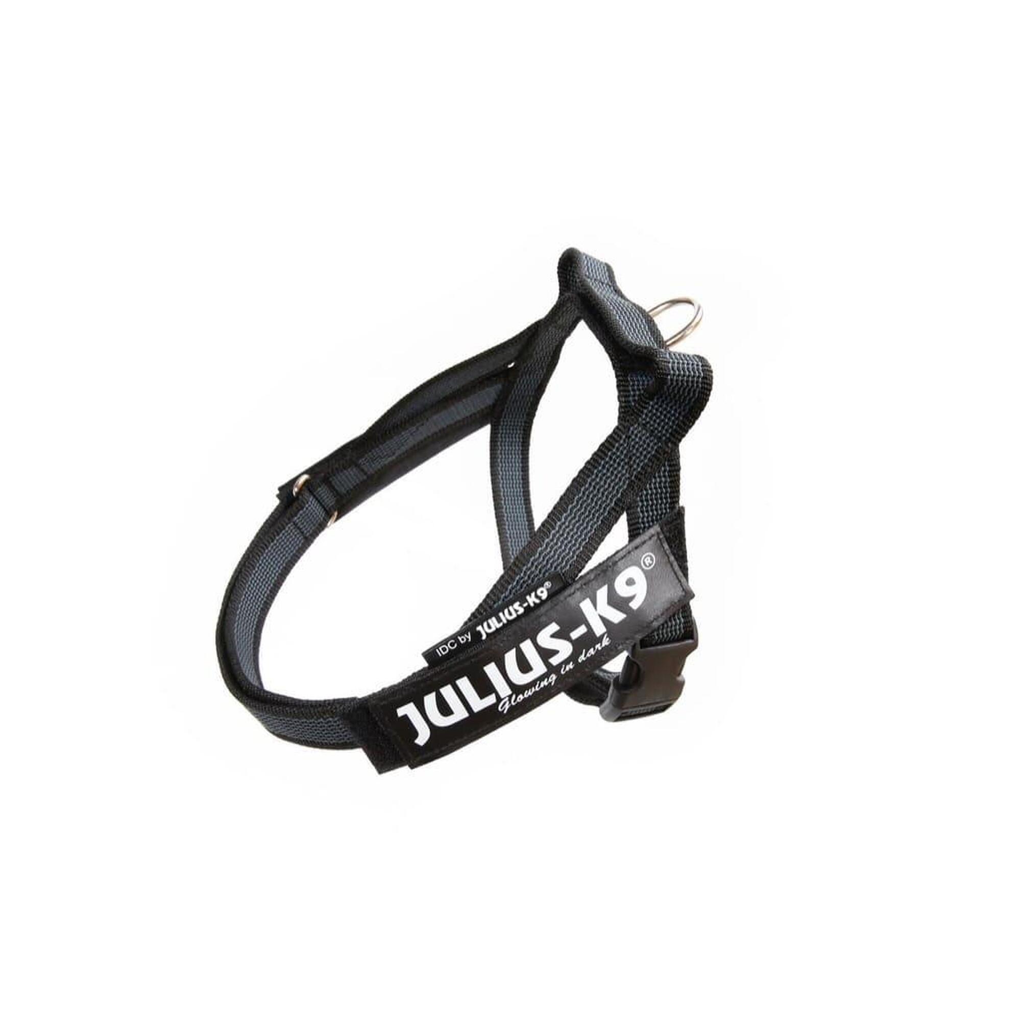 Julius-k9 - Harnais Idc®color&gray® Belt Color & Gray Xsmall - Mini-mini Noir - Harnais Pour Chien - Noir - 36 Xs - Decathlon