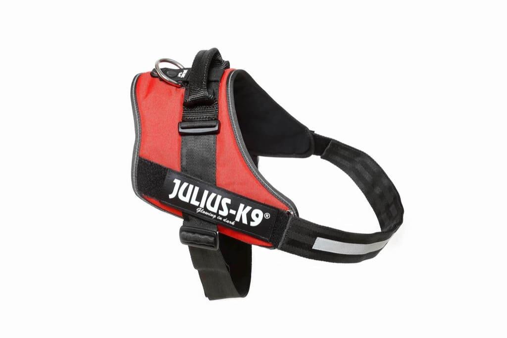 JULIUS-K9 picture