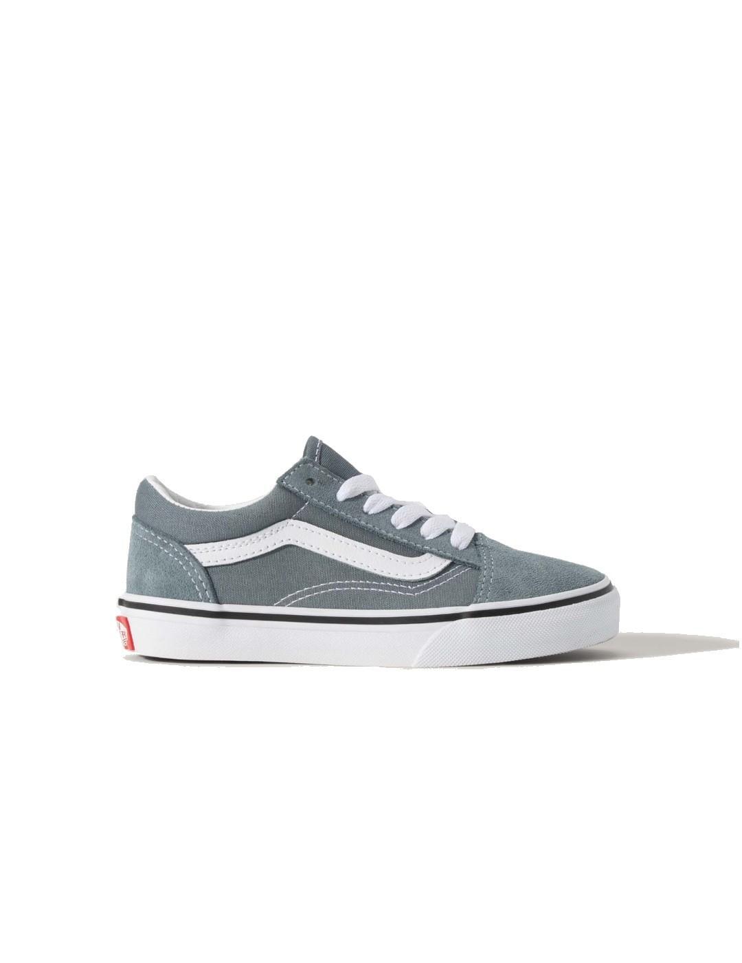 VANS picture