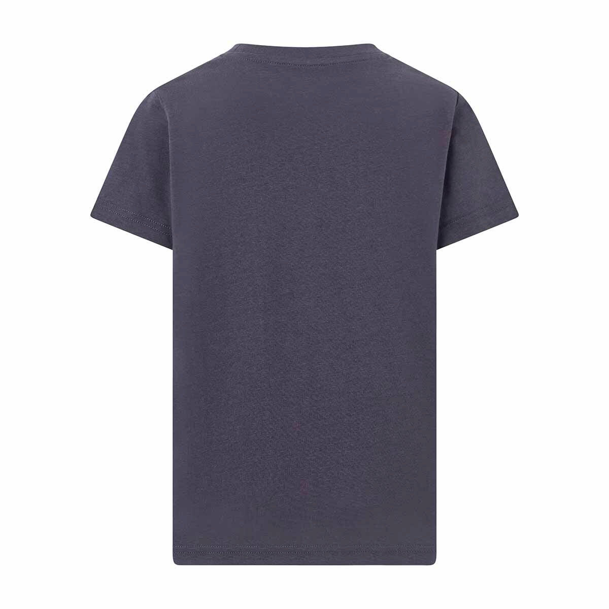 T-shirt manches courtes enfant Sammo gris 5/5