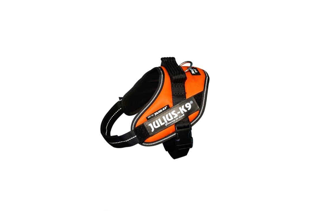 orange fluo