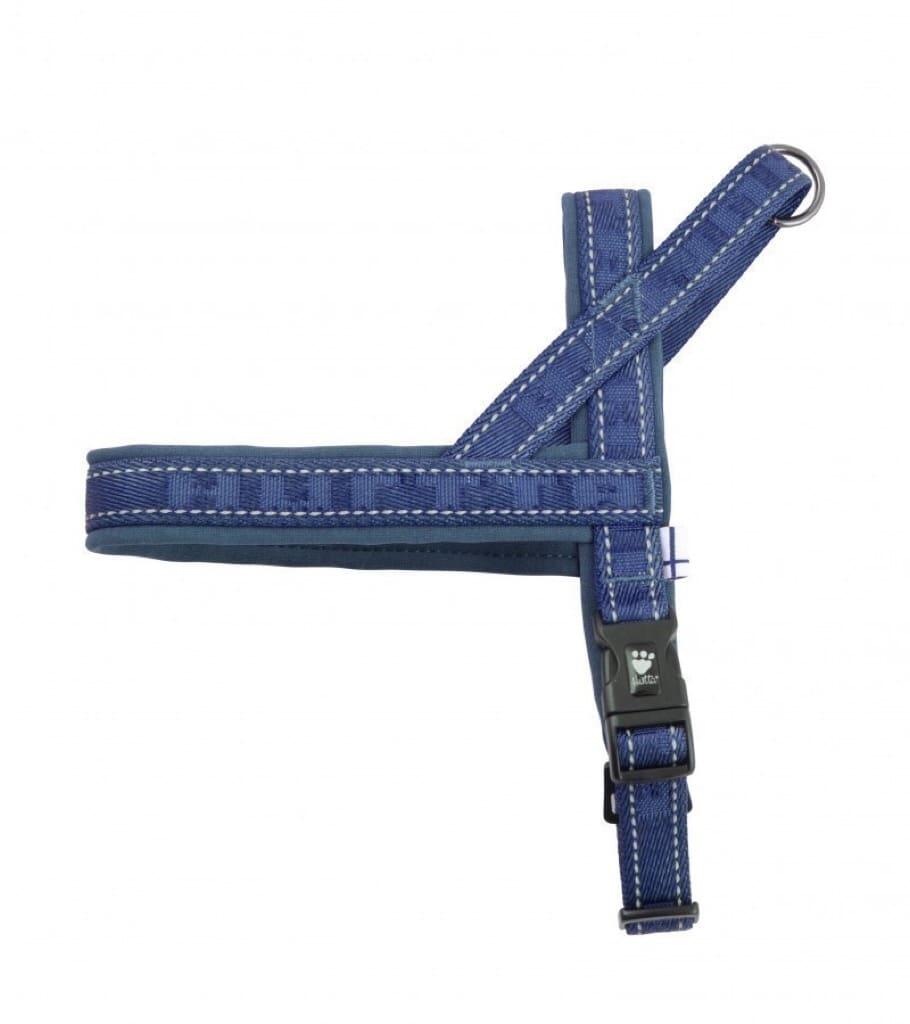 bleu