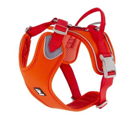 Harnais Weekend Warrior rembourré pour chiens noir Taille 4 100-120 cm