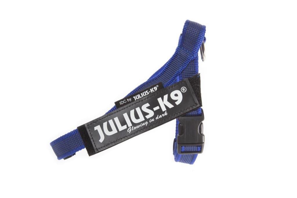 bleu