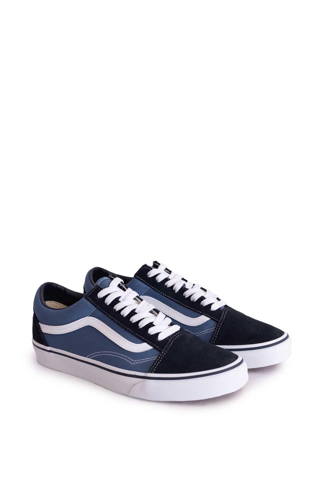VANS picture