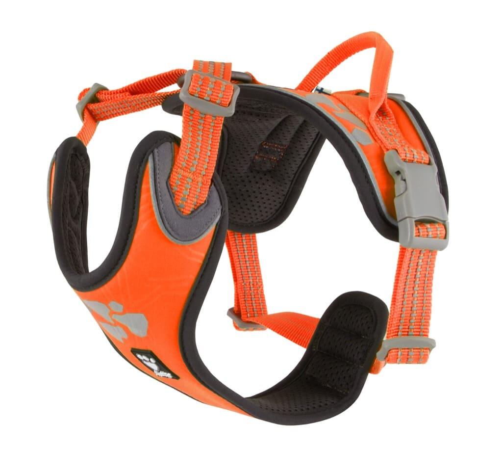 orange fluo