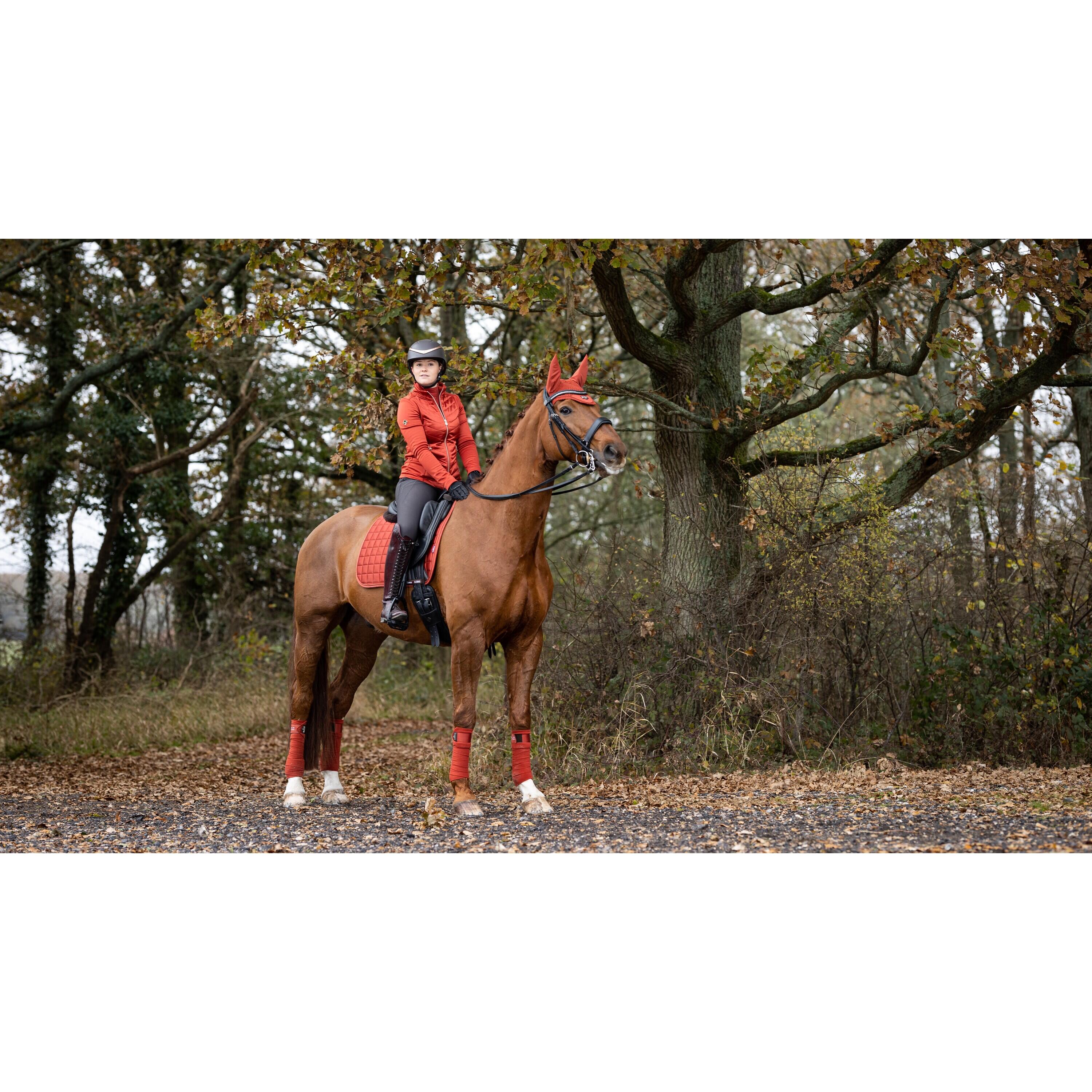 Dressuurmat voor paarden LeMieux Loire Classic 2/2