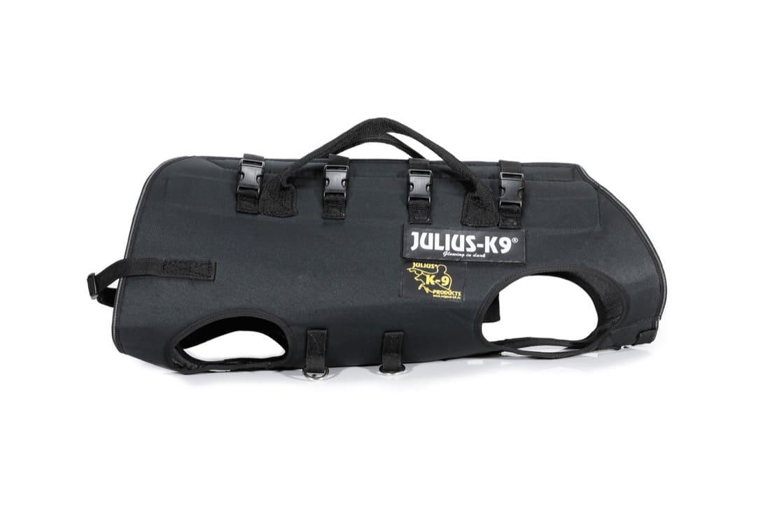 JULIUS-K9 picture