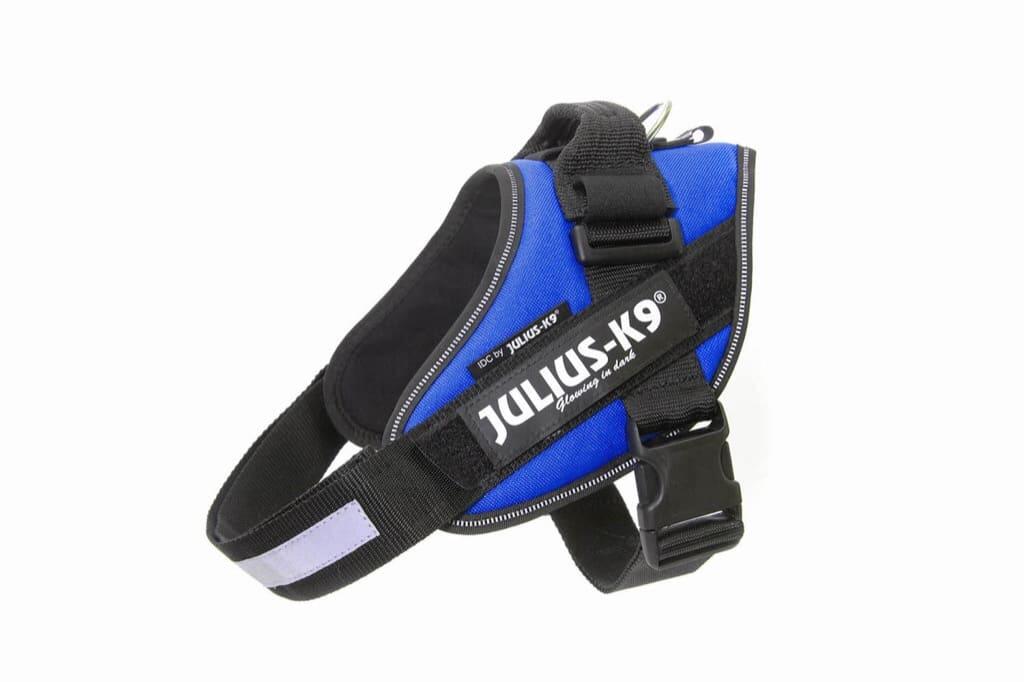 JULIUS-K9 picture