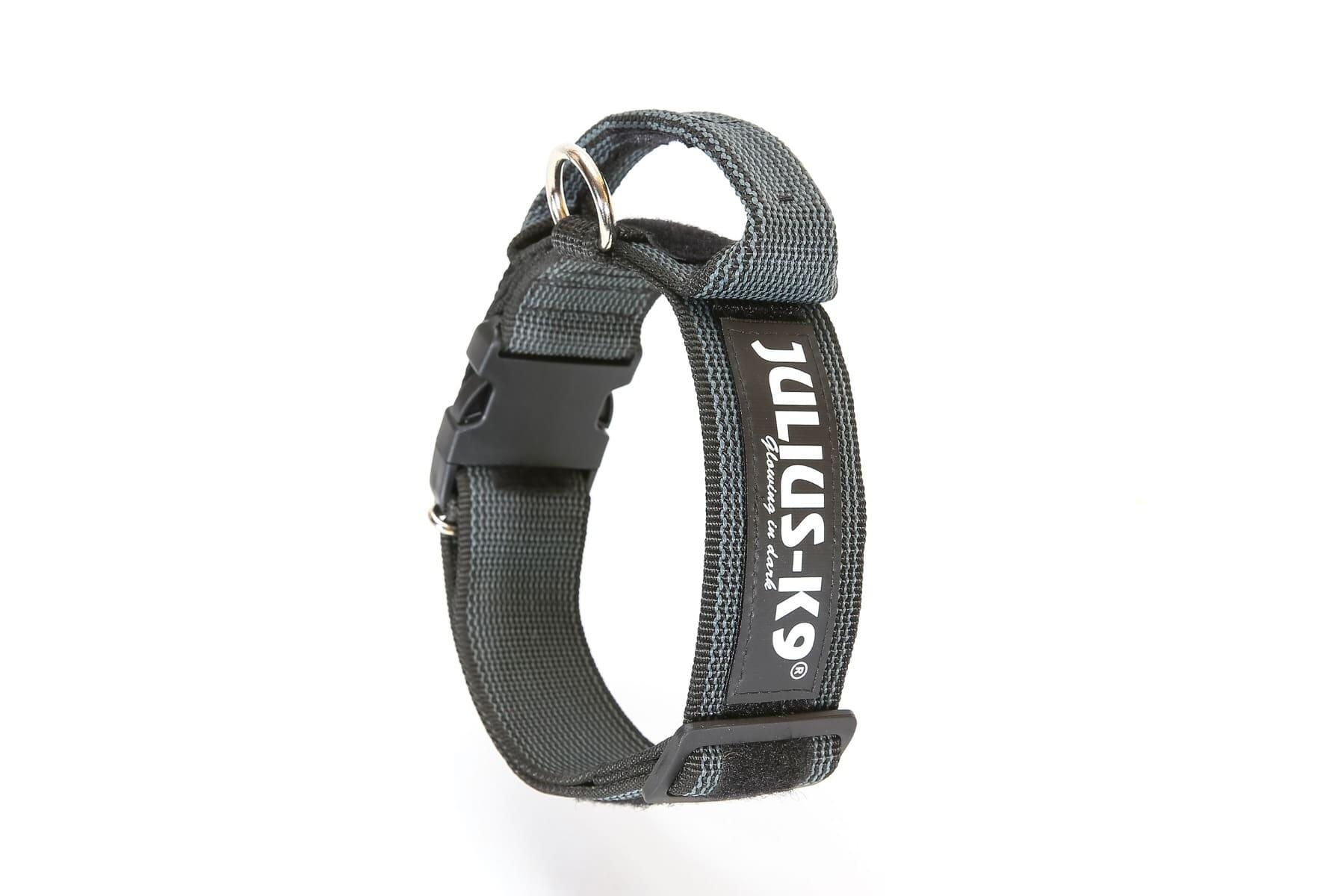 JULIUS-K9 picture