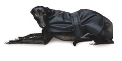 Manteau pour lévriers whippet MEDIUM 43 cm noir