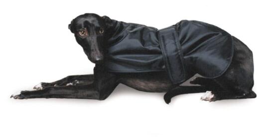 Manteau pour lévriers lévriers Greyhound XXLARGE 70 cm noir