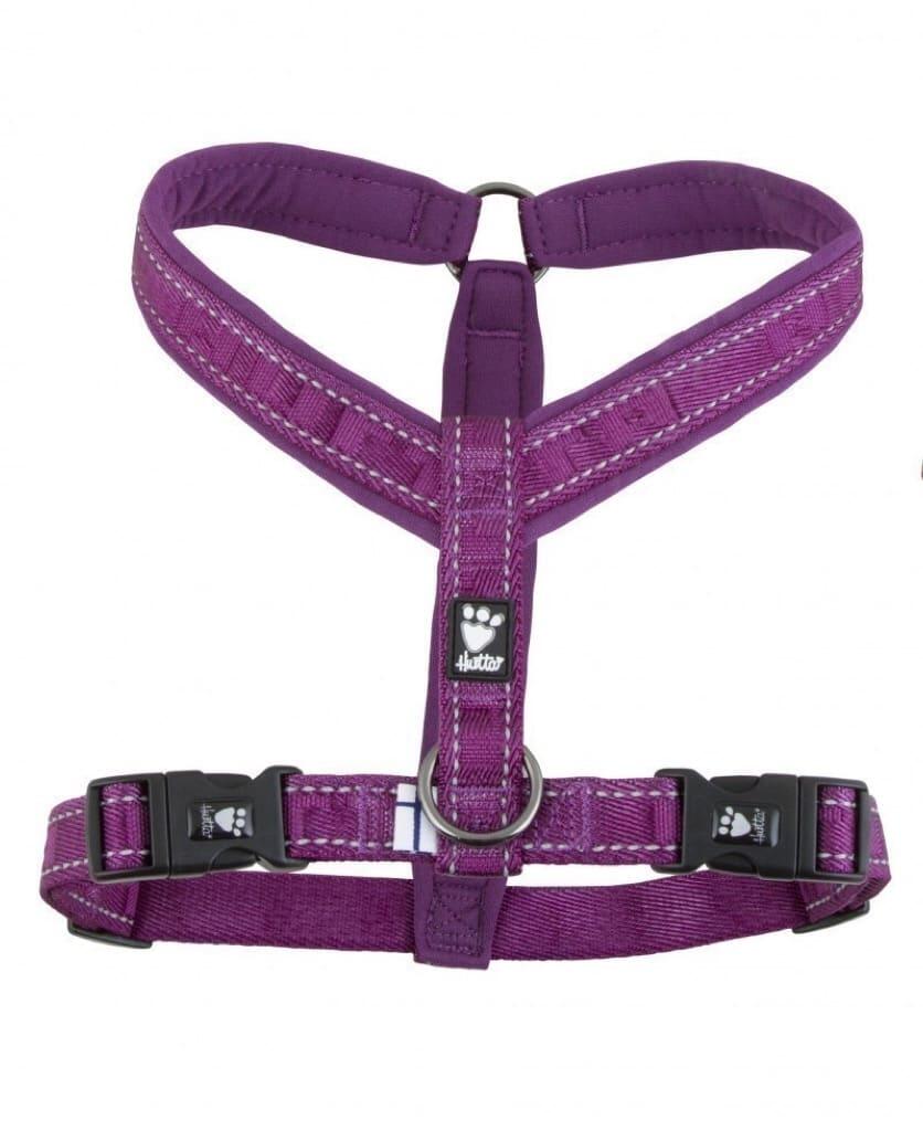 violet royal