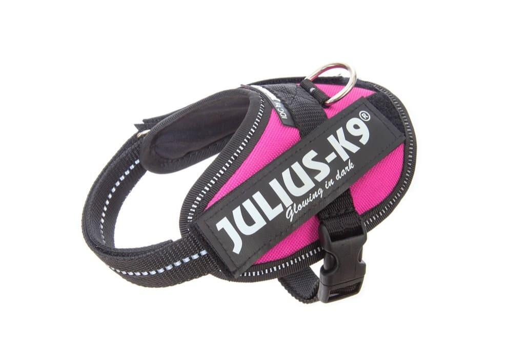 JULIUS-K9 picture