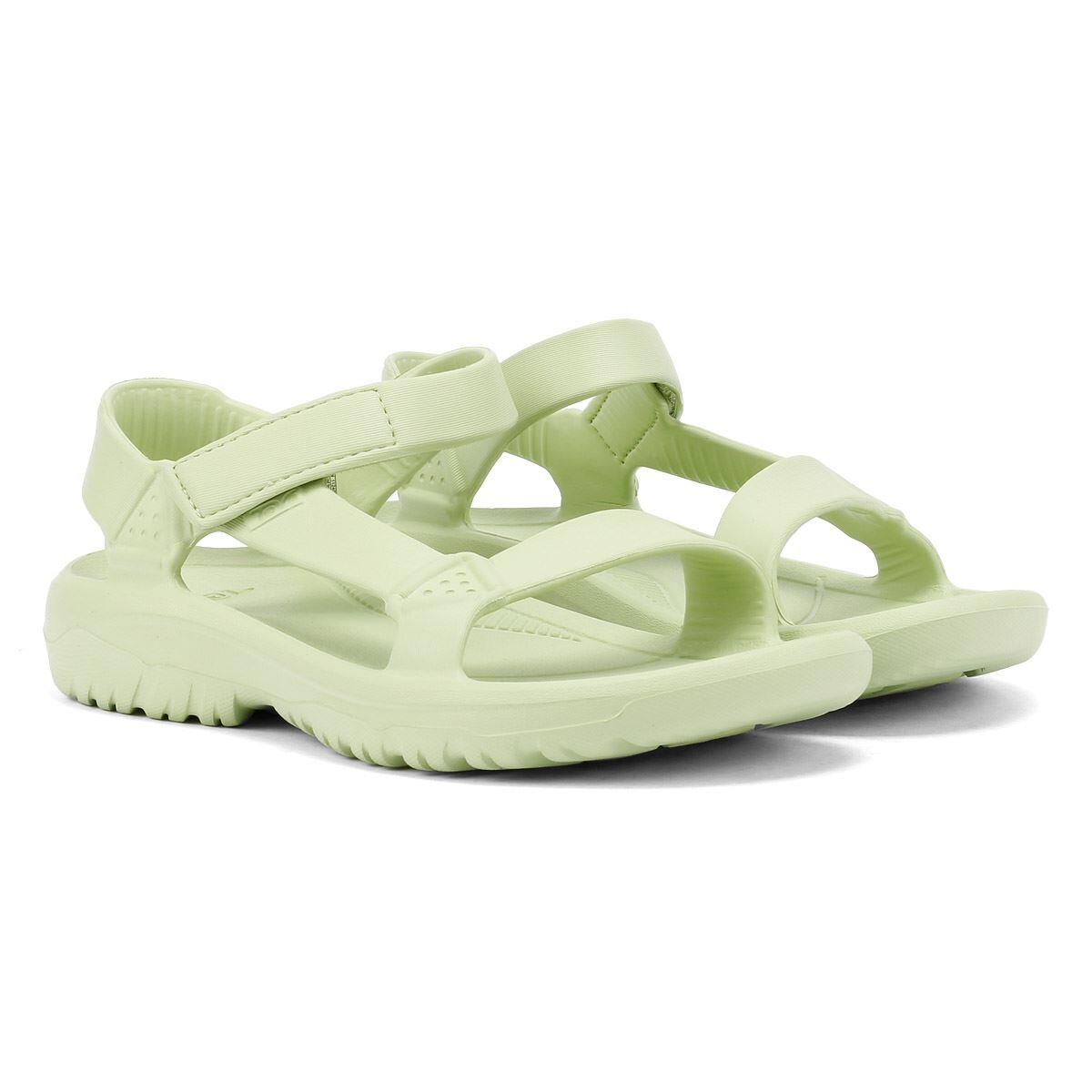 TEVA picture