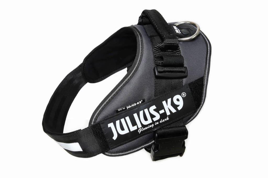 JULIUS-K9 picture