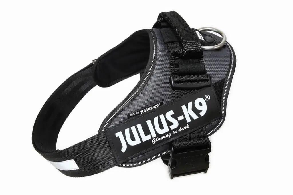 JULIUS-K9 picture