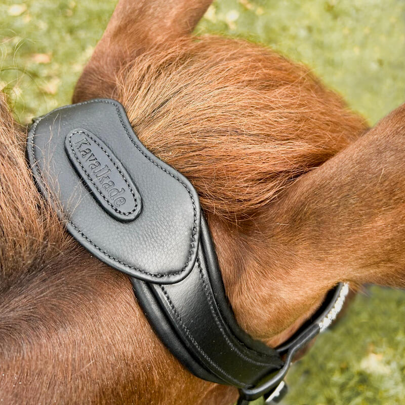 Cabestro para caballo abierto con puente Kavalkade Cre8 Malou 6/6