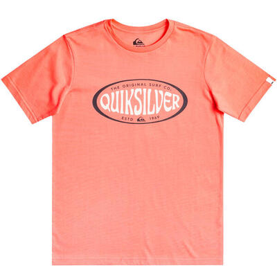 T-shirt met korte mouwen quiksilver model eqbzt04593-mhv0 voor jongens