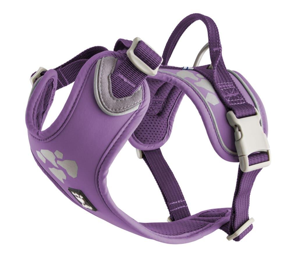 violet royal