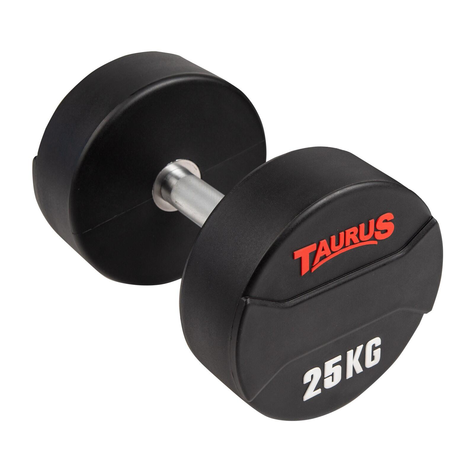 TAURUS picture