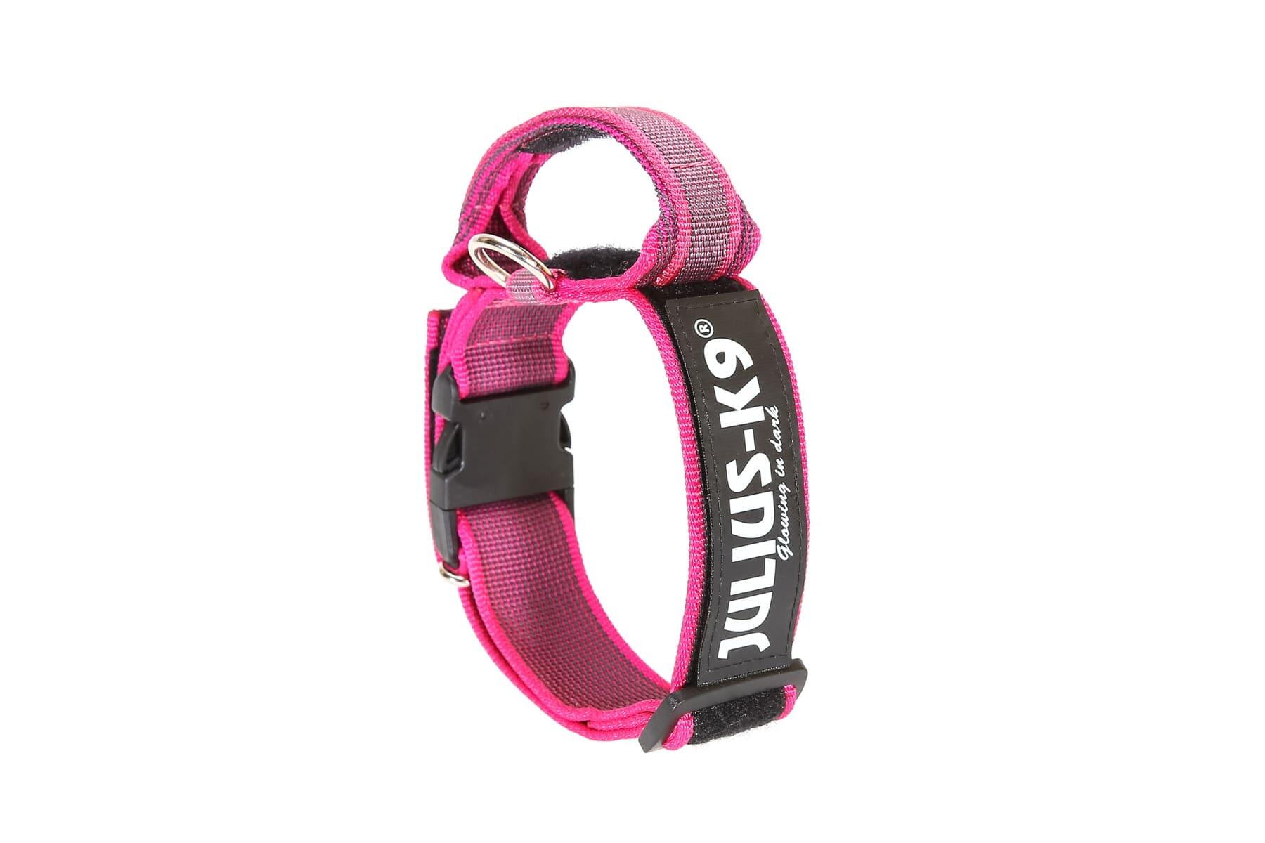 halsband dackel Hundehalsband - Lederhalsband Dackel / Teckel / Dachshund