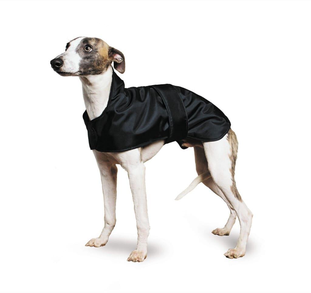 Manteau pour lévriers whippet MEDIUM 43 cm noir 1/6