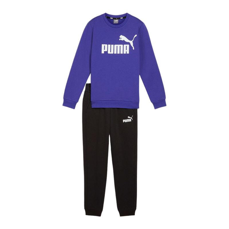 PUMA picture