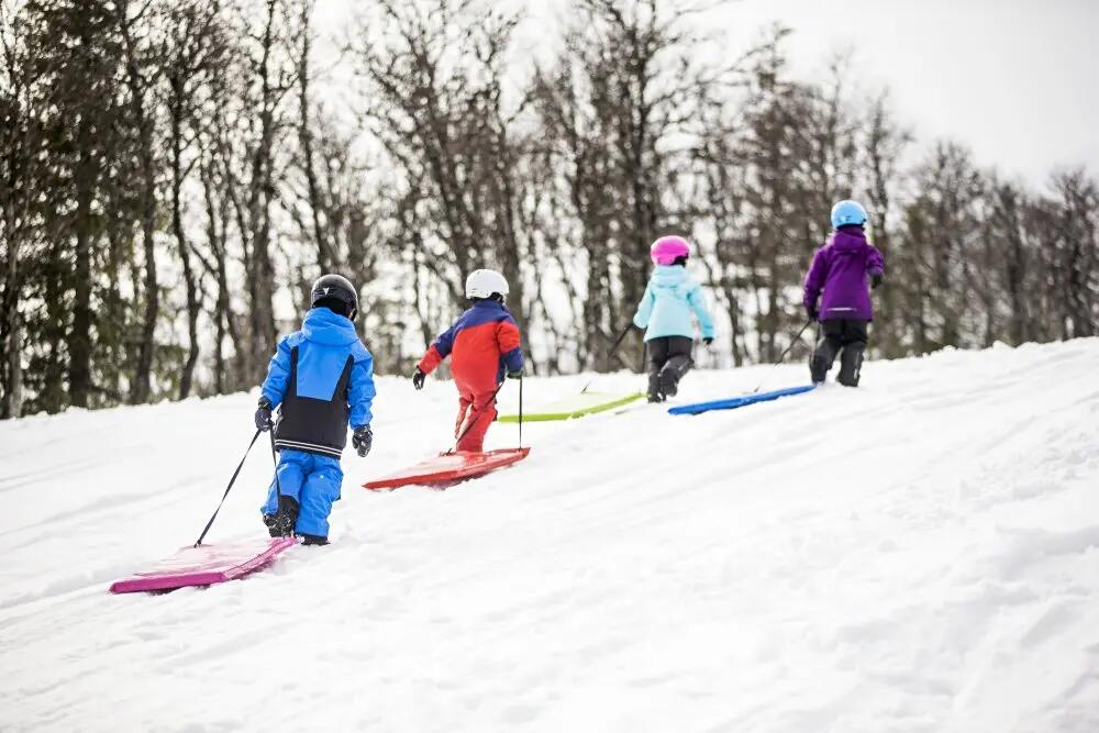 Slede Stiga Snow Flyer Junior Groen 4/4
