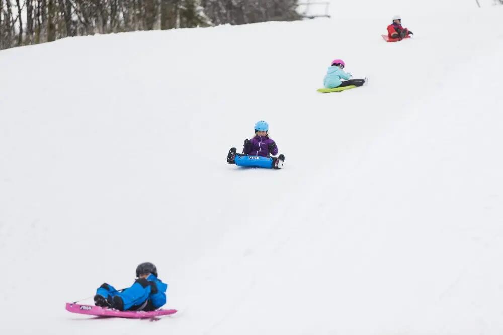 Slede Stiga Snow Flyer Junior Groen 2/4