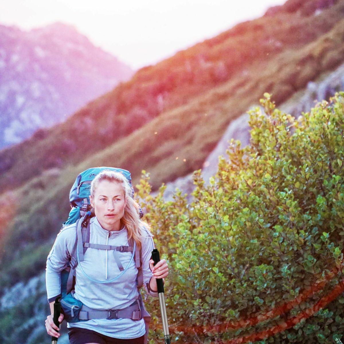 Kije trekkingowe Best Sporting regulowane z rękawiczkami 4/7