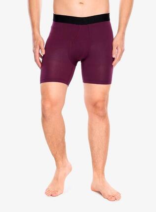 Bokserki termoaktywne męskie Stance Fig Wholester