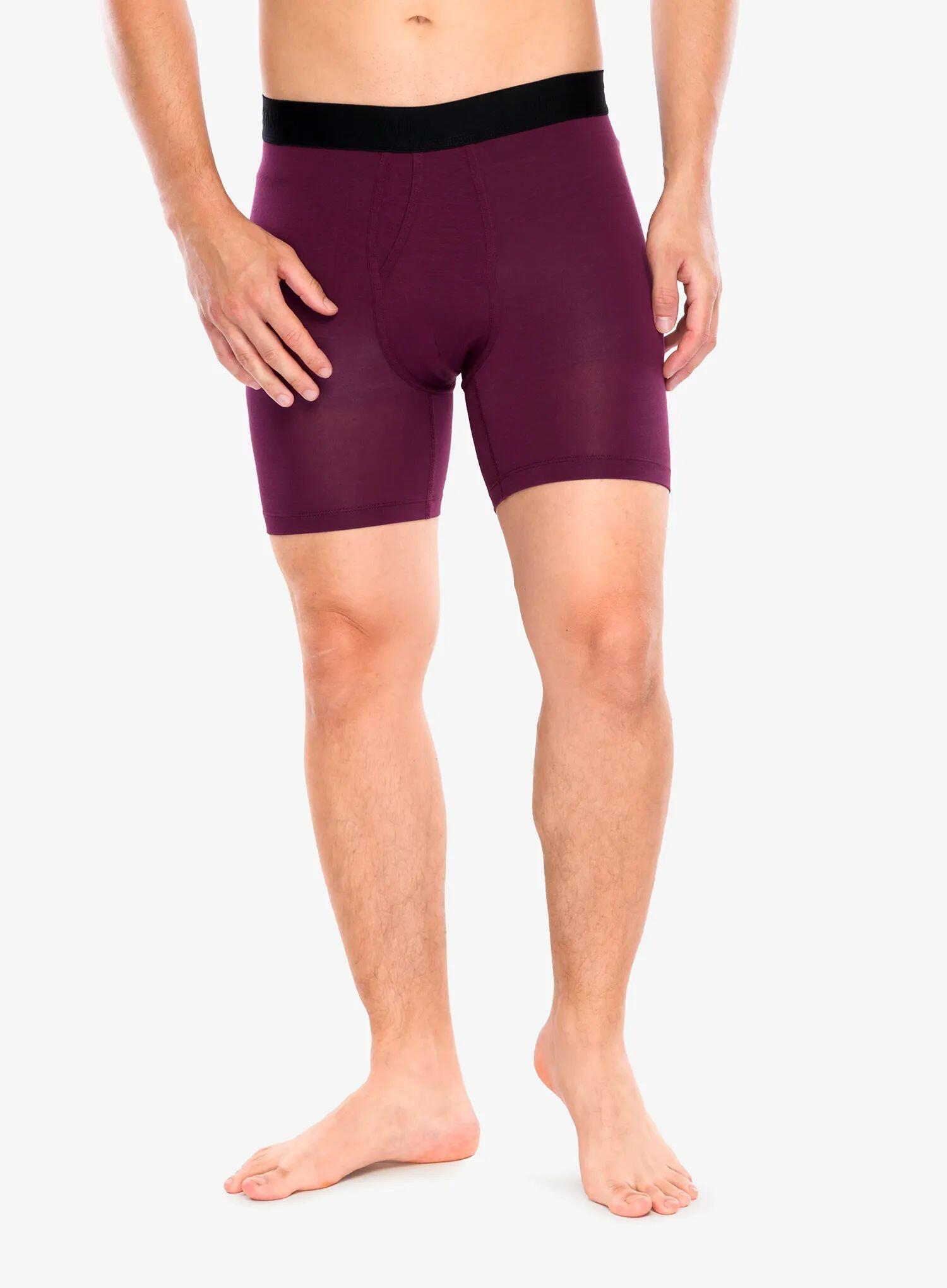 Bokserki termoaktywne męskie Stance Fig Wholester 5/6
