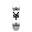 Skateboard Complete Zoo York Crackerjack White 8"