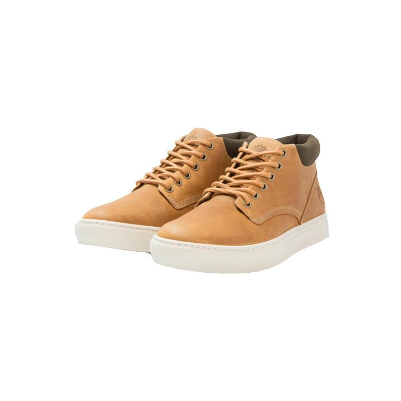 62941a16-c0f1-4f7b-a523-e0336a892b0c_c27